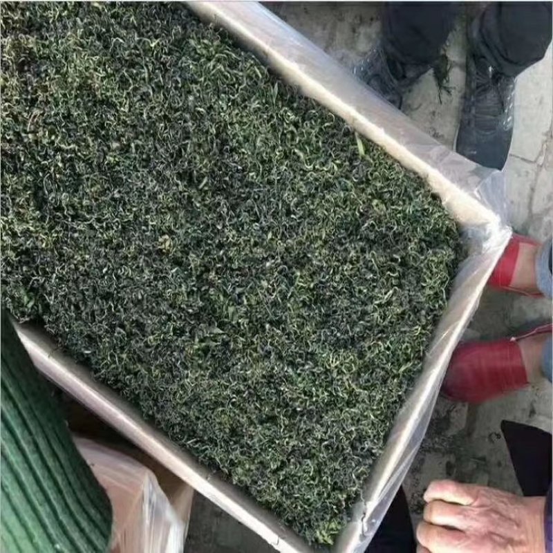 蒲公英茶长白山特产新货蒲公英婆婆丁茶叶产地直销