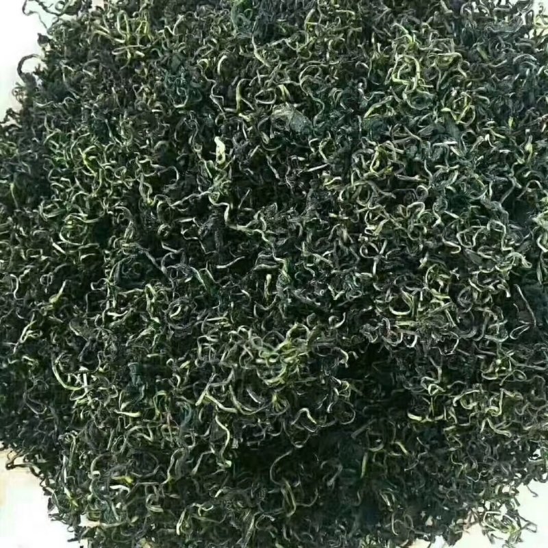 蒲公英茶长白山特产新货蒲公英婆婆丁茶叶产地直销