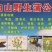 蒲公英茶长白山特产新货蒲公英婆婆丁茶叶产地直销
