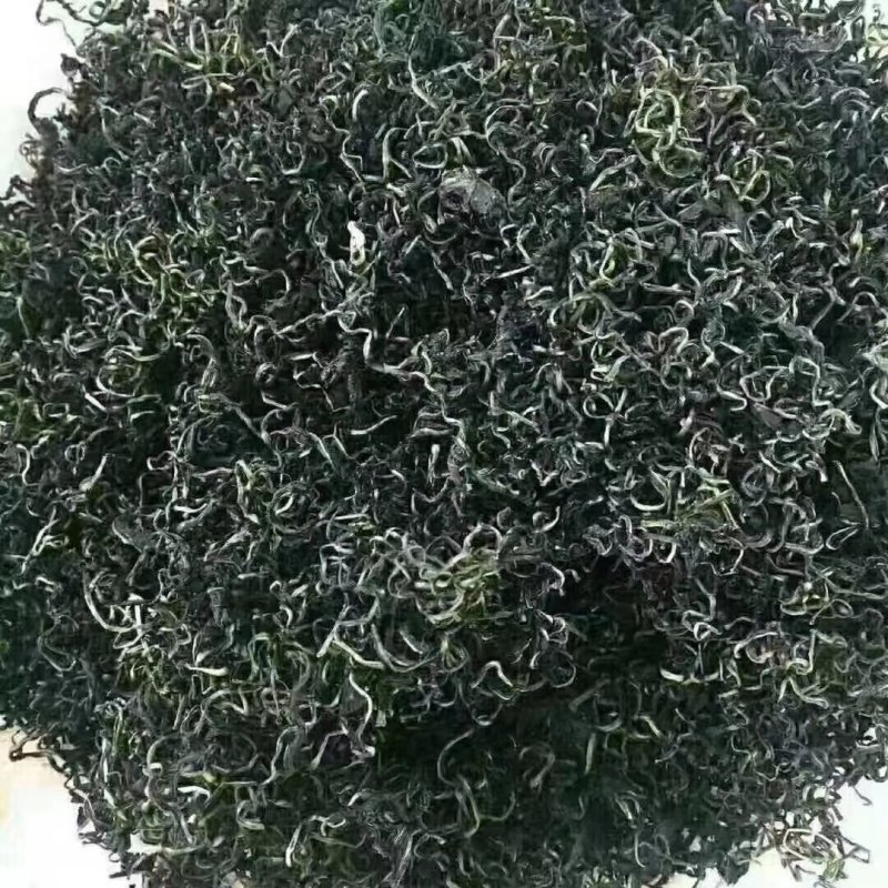 蒲公英茶长白山特产新货蒲公英婆婆丁茶叶产地直销