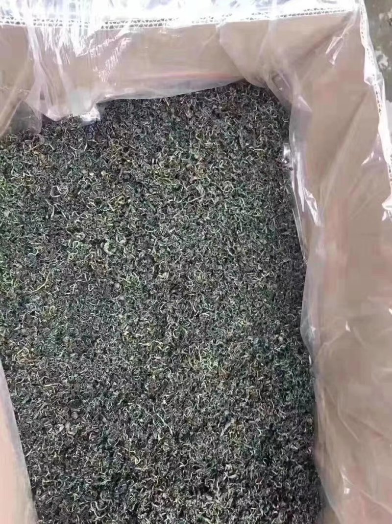 蒲公英茶长白山特产新货蒲公英婆婆丁茶叶产地直销