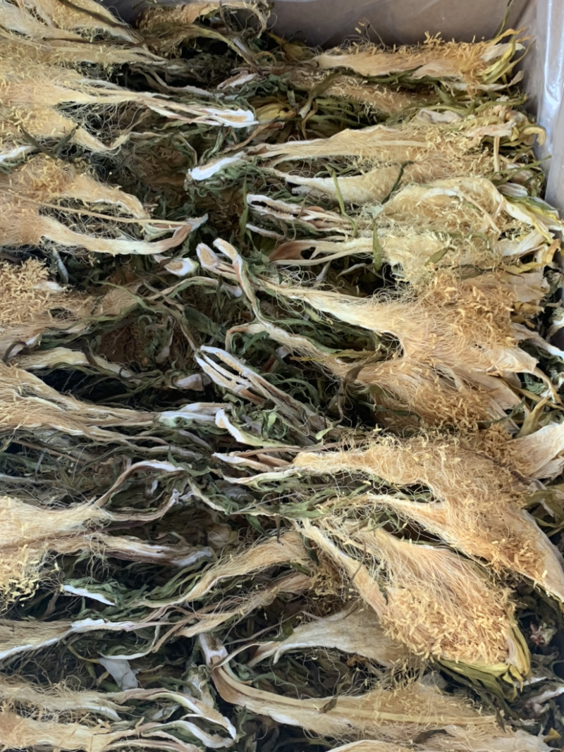 南海长霸王花微商电商实体淘货源专业保密一件代发