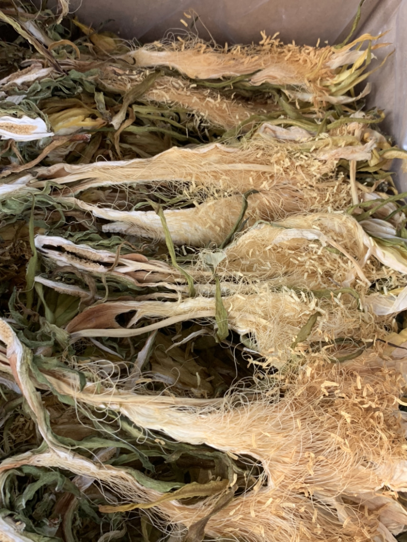 南海长霸王花微商电商实体淘货源专业保密一件代发