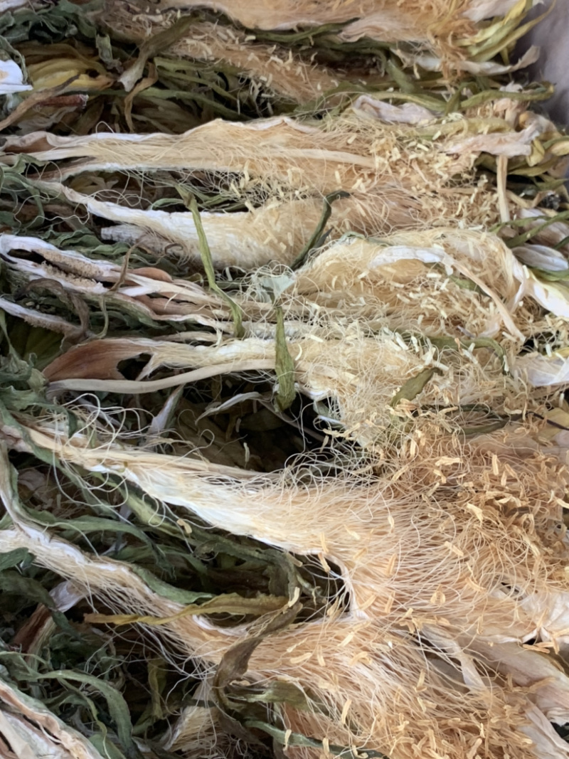 南海长霸王花微商电商实体淘货源专业保密一件代发
