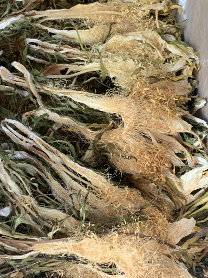 南海长霸王花微商电商实体淘货源专业保密一件代发