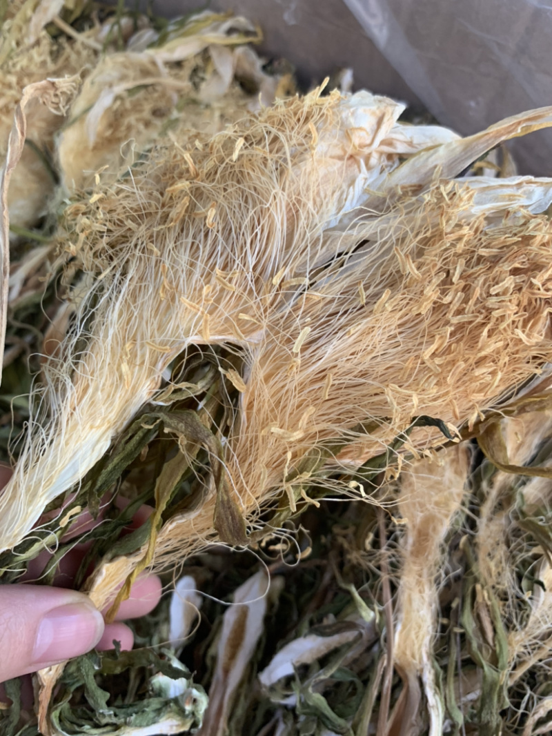 南海长霸王花微商电商实体淘货源专业保密一件代发