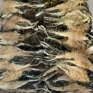 南海长霸王花微商电商实体淘货源专业保密一件代发