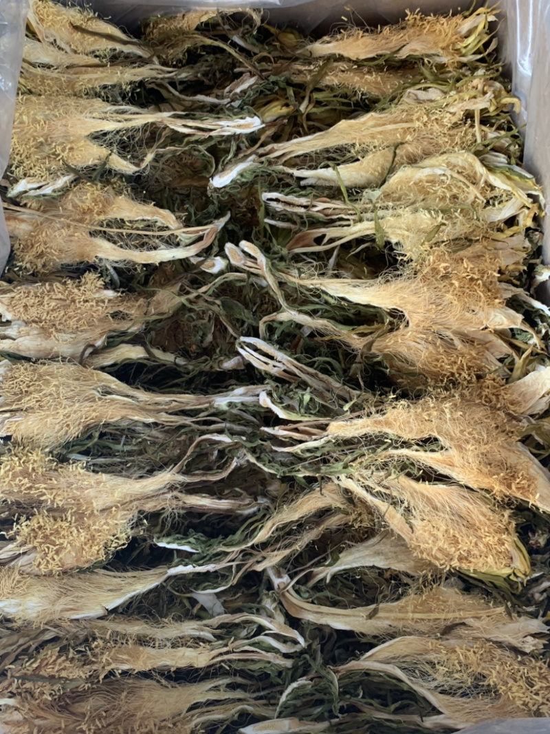 南海长霸王花微商电商实体淘货源专业保密一件代发