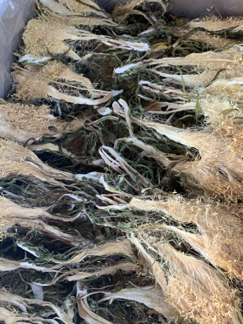 南海长霸王花微商电商实体淘货源专业保密一件代发