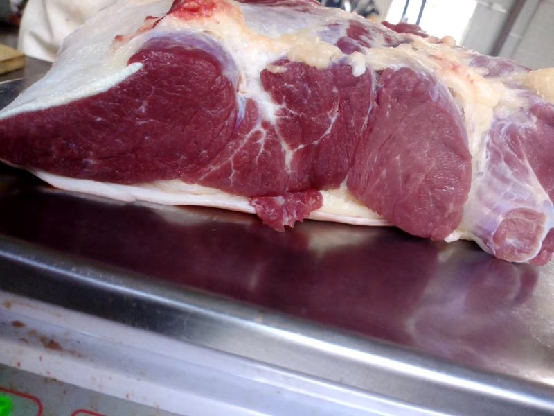 马肉，鲜马肉，现宰马肉，马肉批发
