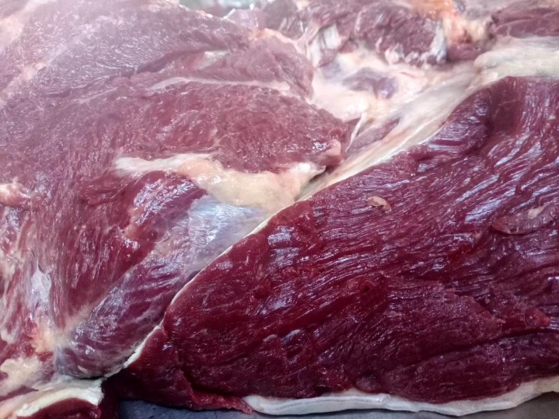 马肉，鲜马肉，现宰马肉，马肉批发