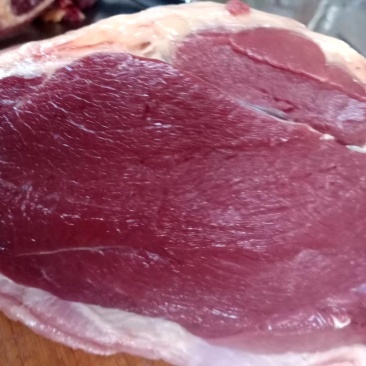 马肉，鲜马肉，现宰马肉，马肉批发
