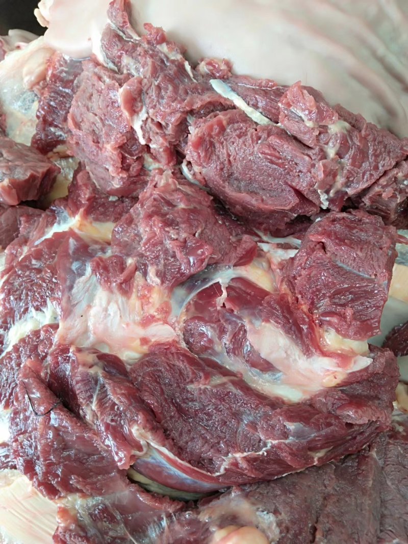 马肉，鲜马肉，现宰马肉，马肉批发