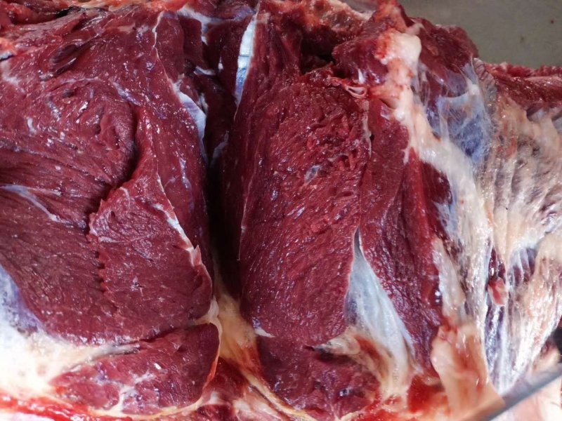 现杀新鲜马肉带皮马肉带皮马腿肉