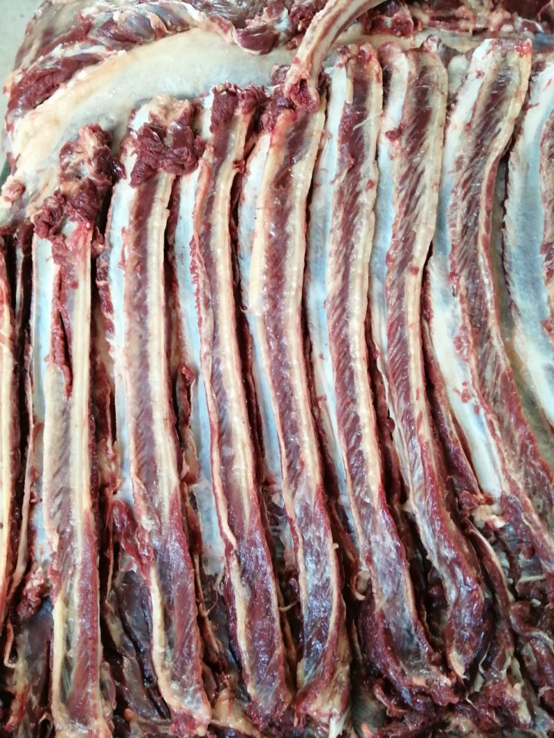 现杀新鲜马肉带皮马肉带皮马腿肉