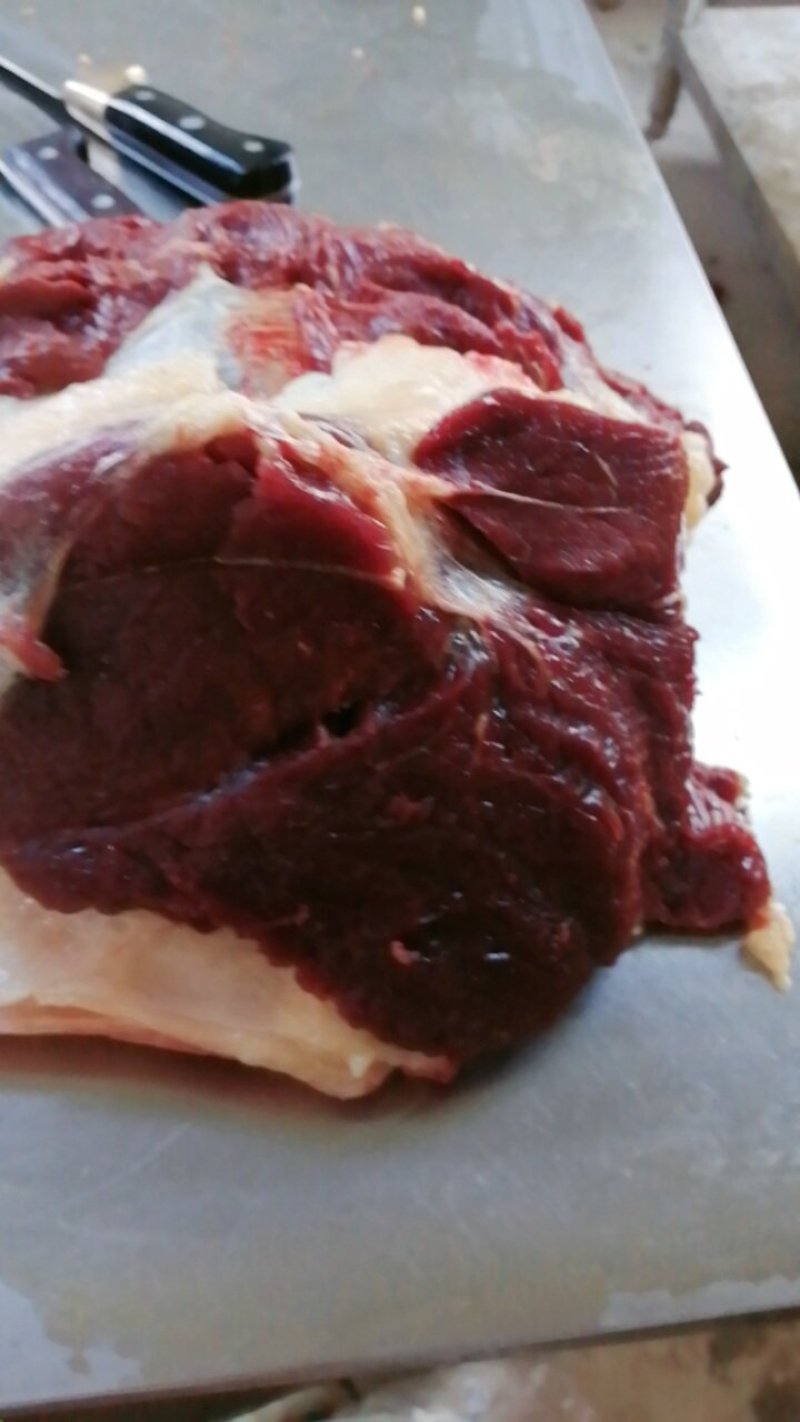 现杀新鲜马肉带皮马肉带皮马腿肉