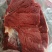现杀新鲜马肉带皮马肉带皮马腿肉