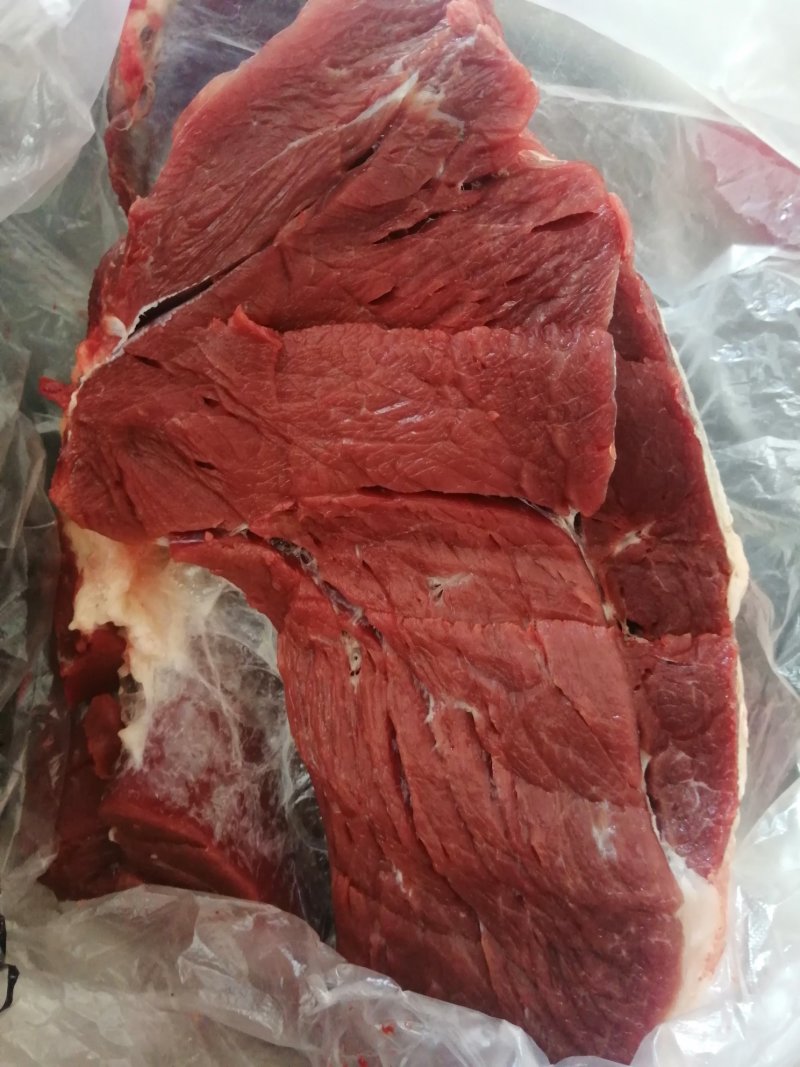 现杀新鲜马肉带皮马肉带皮马腿肉