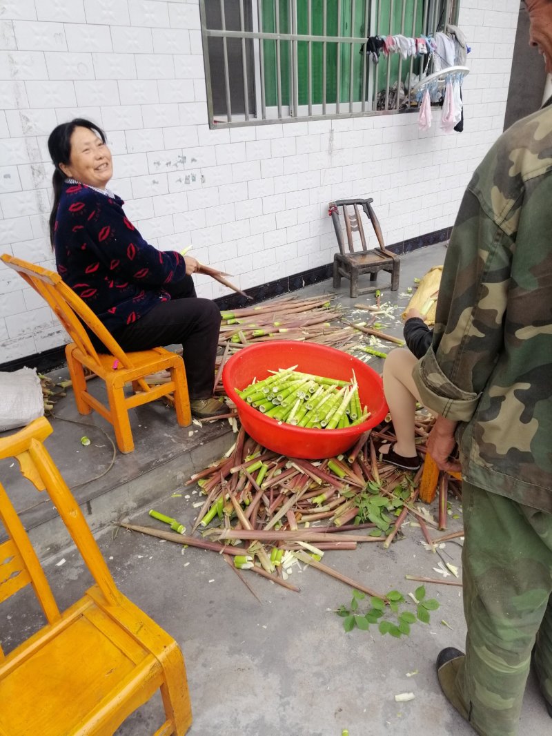 安康富硒绿竹笋农家自产自销品质保证无添加当季新笋货源稳定