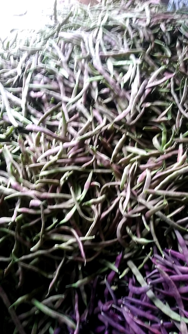 油豆角
