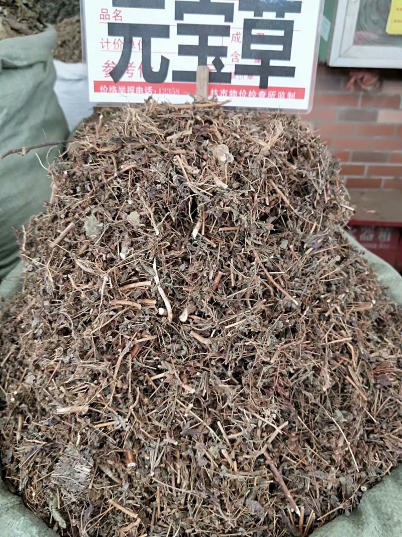 【推荐】元宝草对月草规格齐全可全国发货可招全国代理