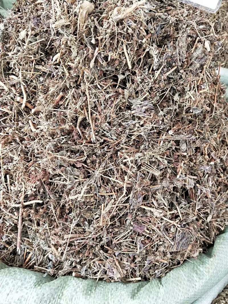 【推荐】元宝草对月草规格齐全可全国发货可招全国代理