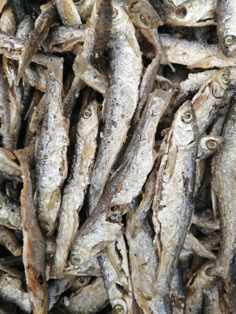 鱼干批发