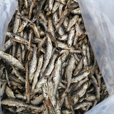 鱼干批发