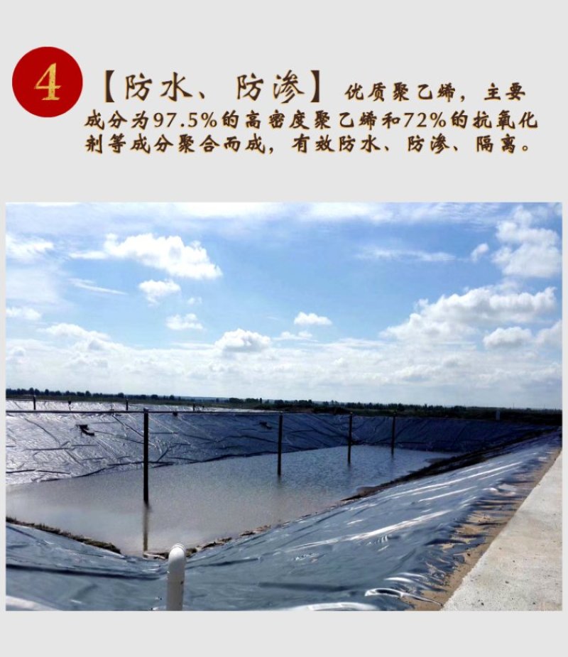 泥鳅防钻膜养鸡场沉淀池防渗膜人工湖专用土工膜厂家销
