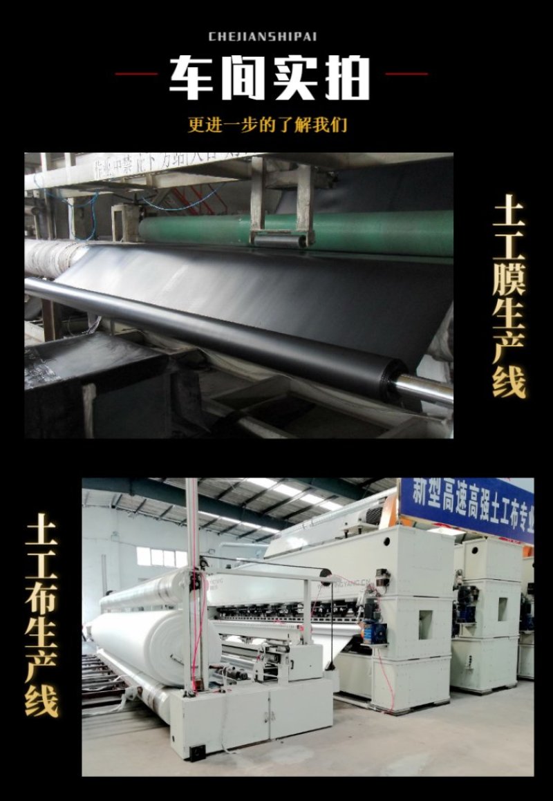泥鳅防钻膜养鸡场沉淀池防渗膜人工湖专用土工膜厂家销