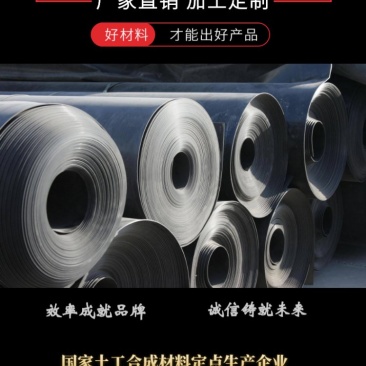 泥鳅防钻膜养鸡场沉淀池防渗膜人工湖专用土工膜厂家销