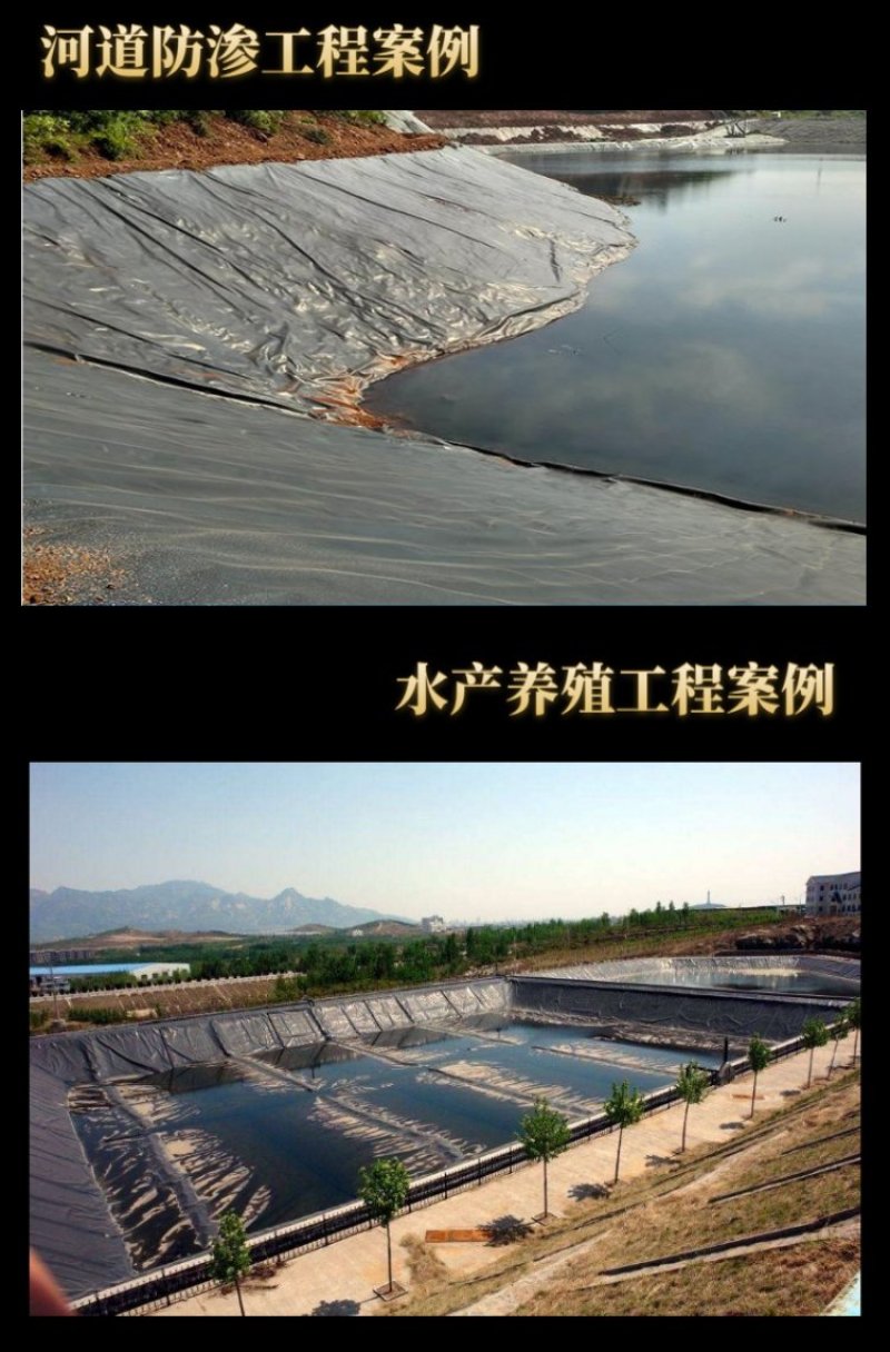 泥鳅防钻膜养鸡场沉淀池防渗膜人工湖专用土工膜厂家销