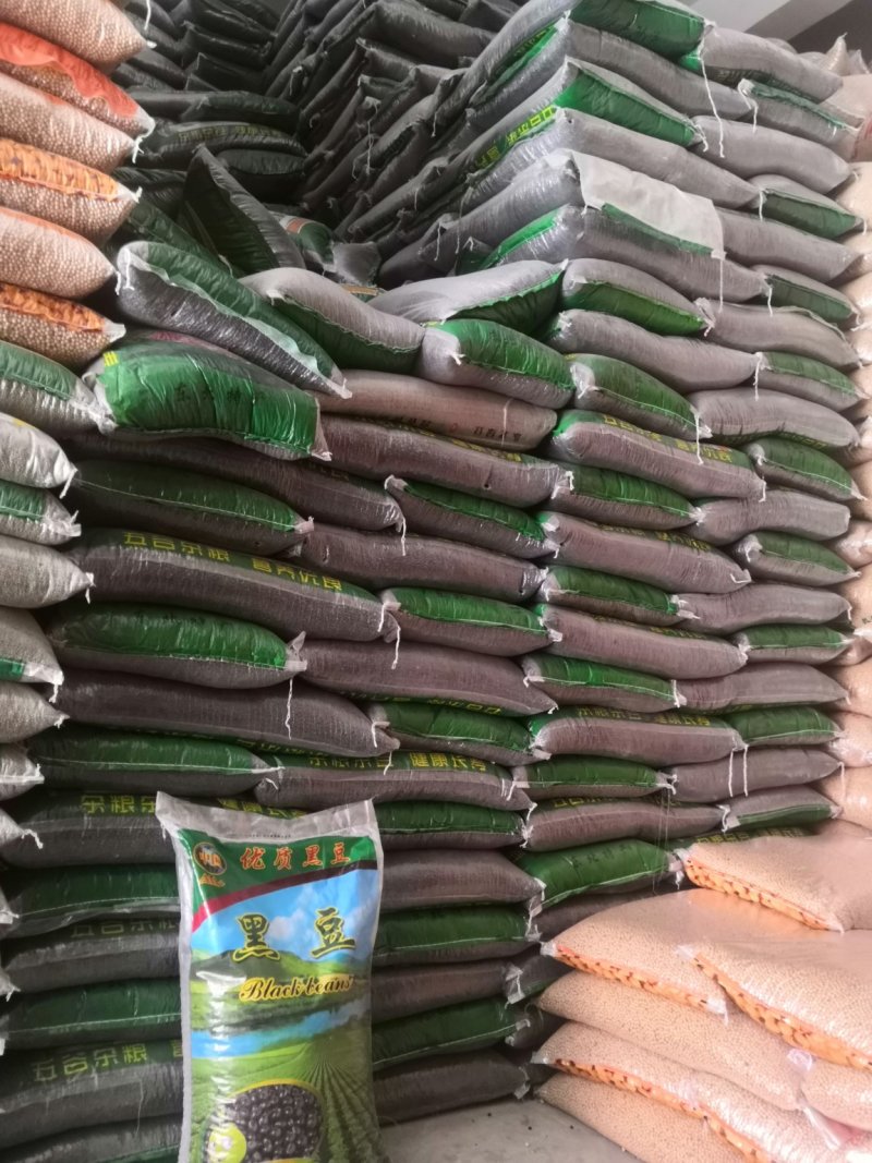 黑豆青仁大黑豆药黑豆50斤彩包装，支持上门看货