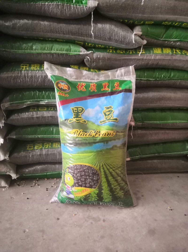 黑豆青仁大黑豆药黑豆50斤彩包装，支持上门看货