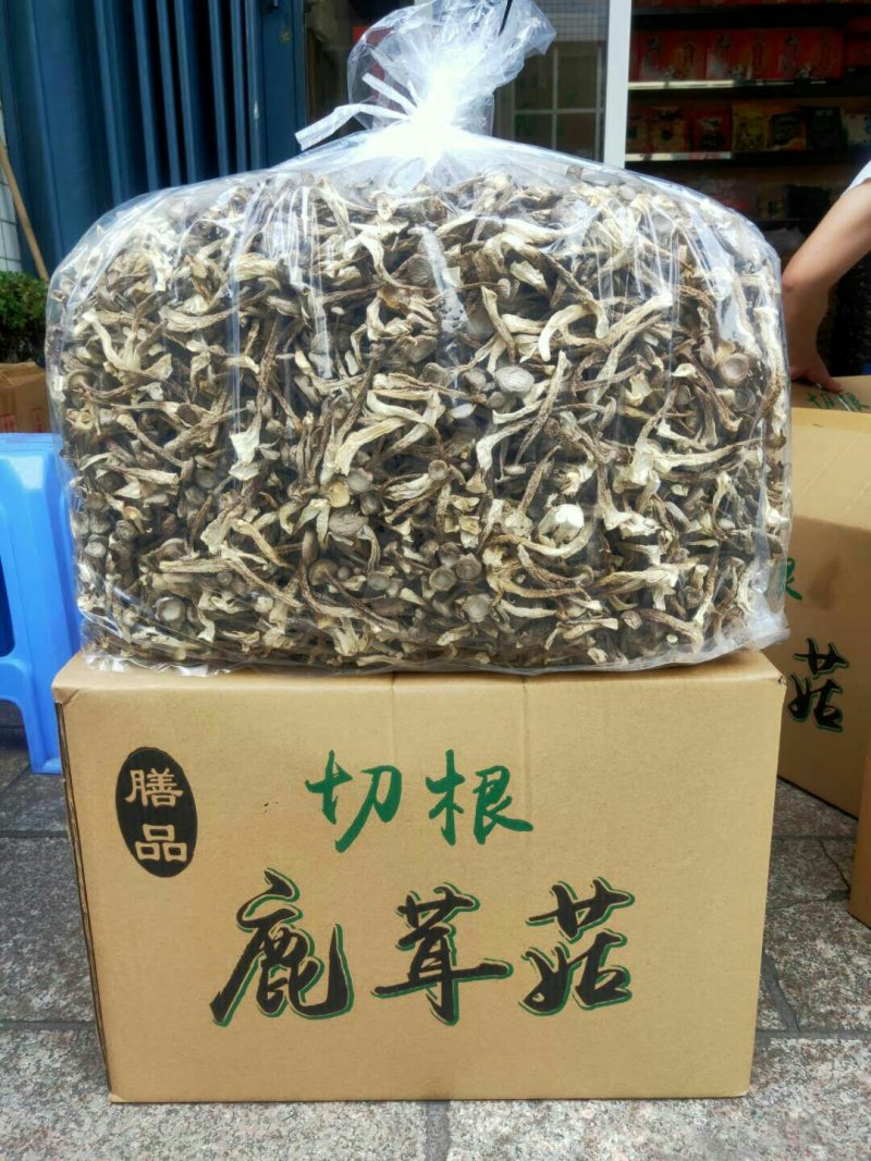 新烤鹿茸菇鹿茸菌食用菌干货酒店食材厂家直销量多从优