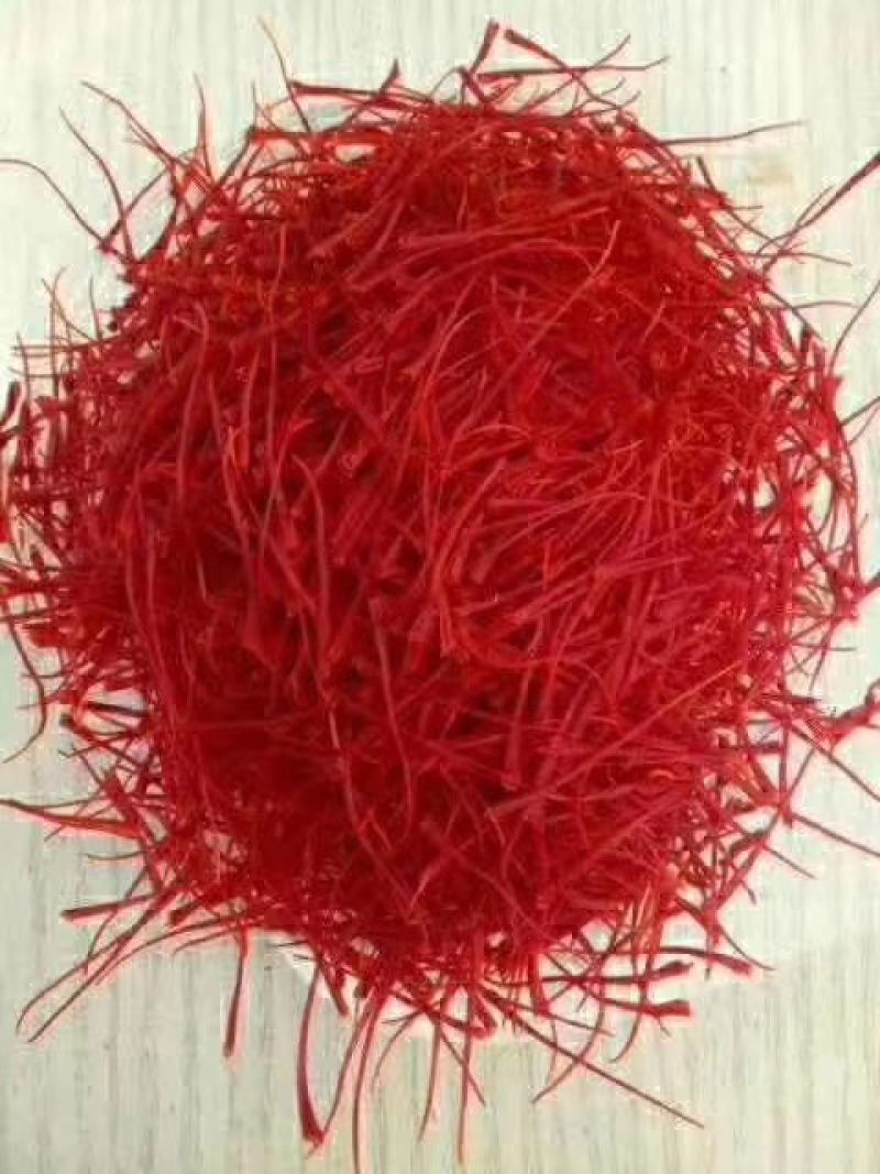 藏红花种苗，藏红花种球基地批发番红花苗价格