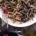 英红九号，老茶园公司出品