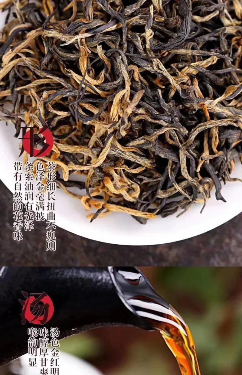 英红九号，老茶园公司出品