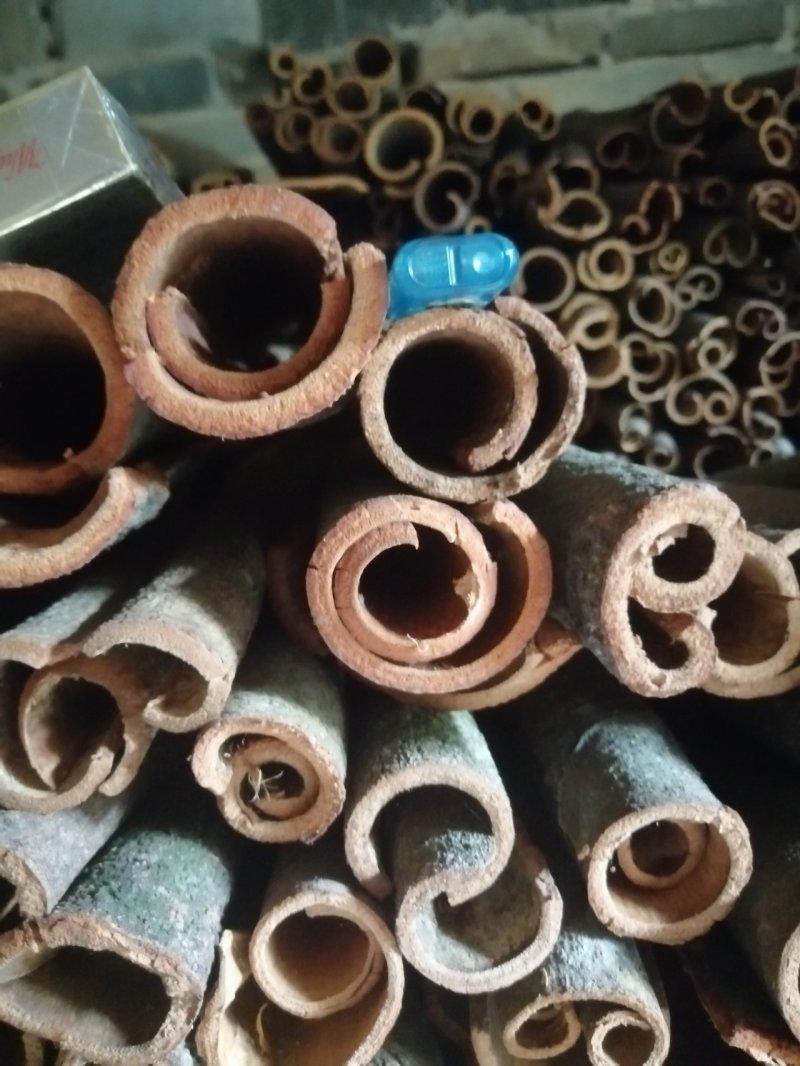 桂皮