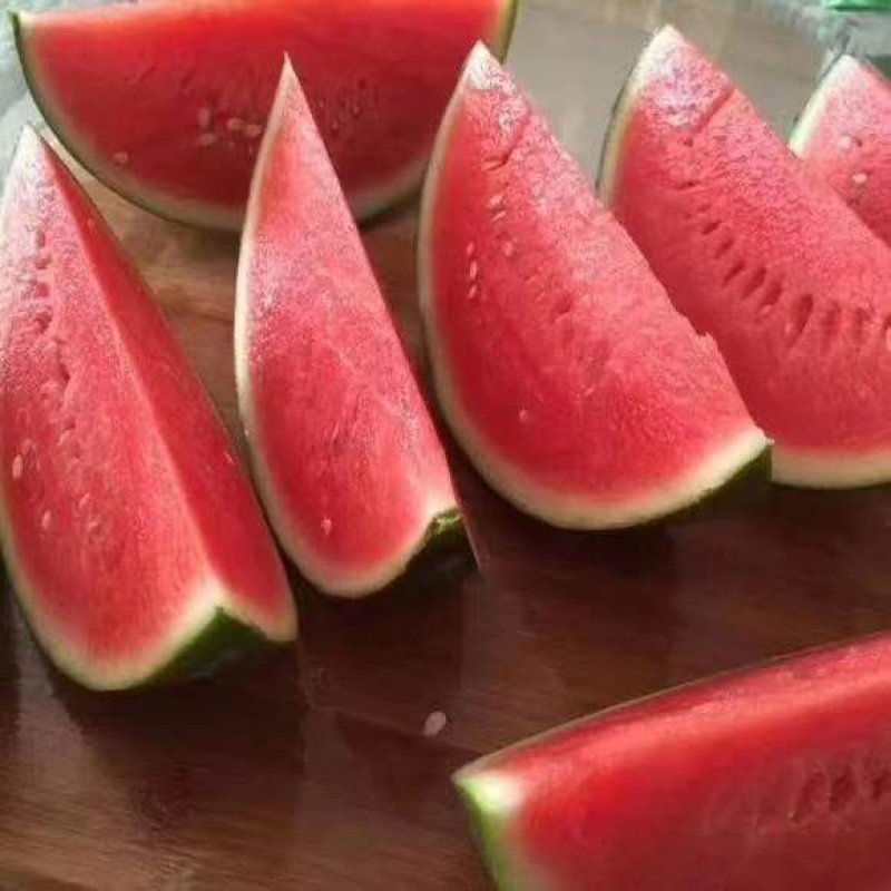 大棚美都西瓜