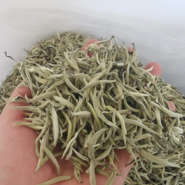 云南省普洱市景谷生态大白茶普洱茶