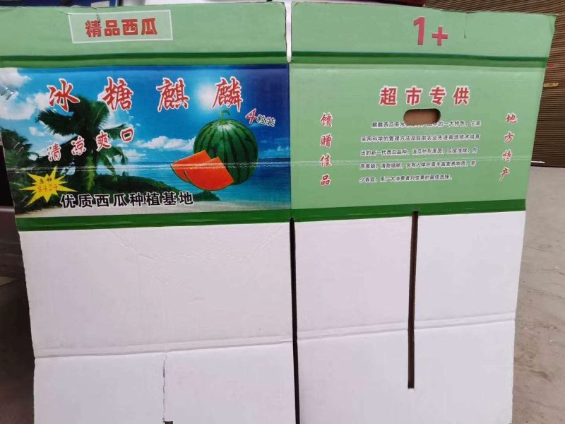 8424西瓜精品台州本地西瓜美都无籽西瓜