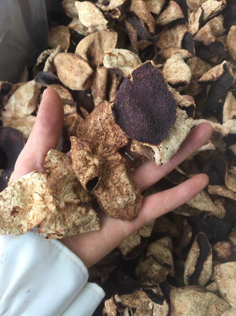 5年以上老陈皮批发一手货源包邮