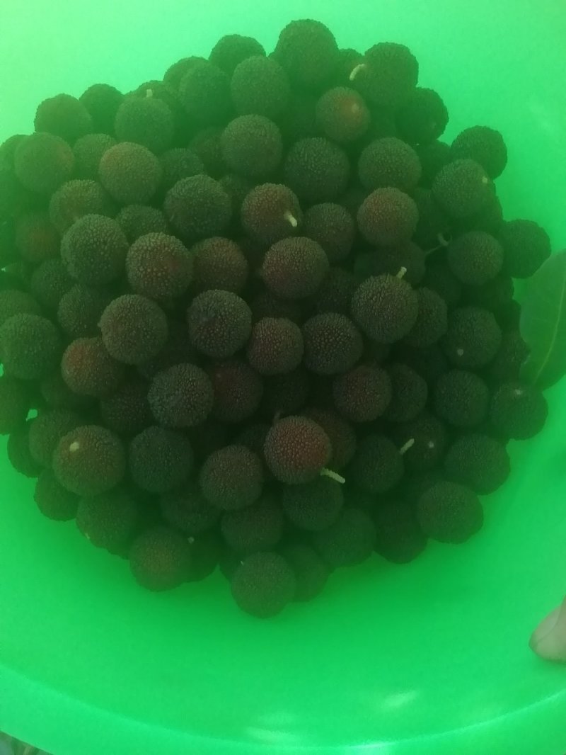 核果仁果类