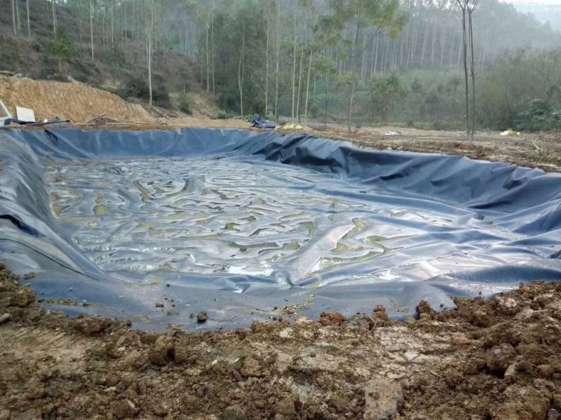 黑色防渗土工膜藕池养殖阻根土工膜畜牧沉淀池专用土工膜