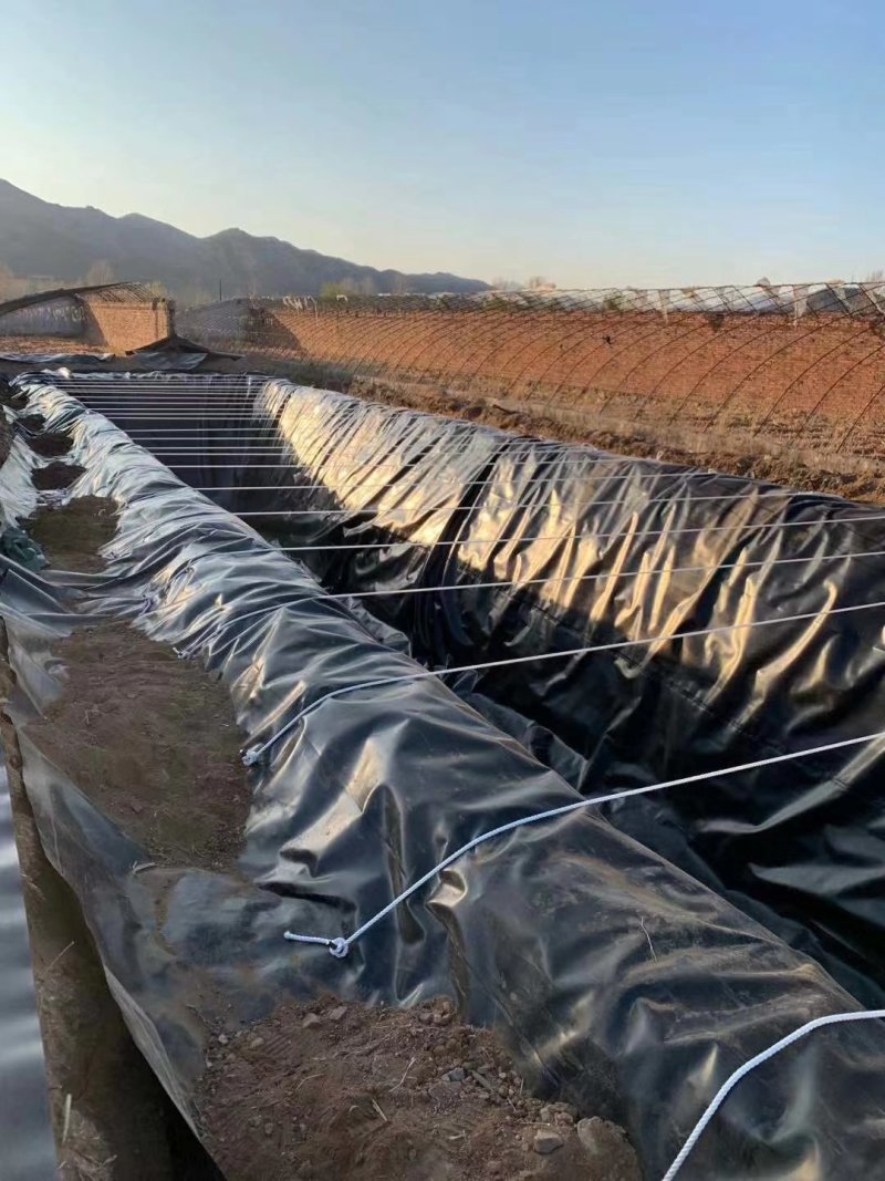 黑色防渗土工膜藕池养殖阻根土工膜畜牧沉淀池专用土工膜