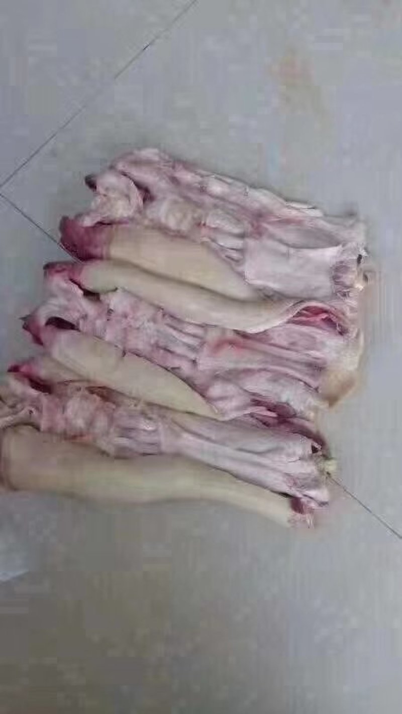 去骨牛蹄大量有货厂家直销有需要欢迎砸单……