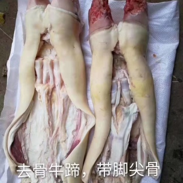 去骨牛蹄大量有货厂家直销有需要欢迎砸单……