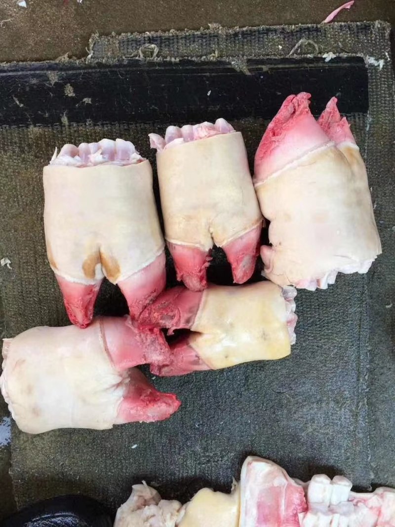 牛脚掌牛副产品大量有货。，