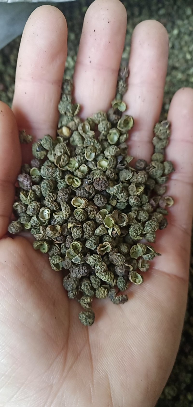 纯青青花椒85%开口